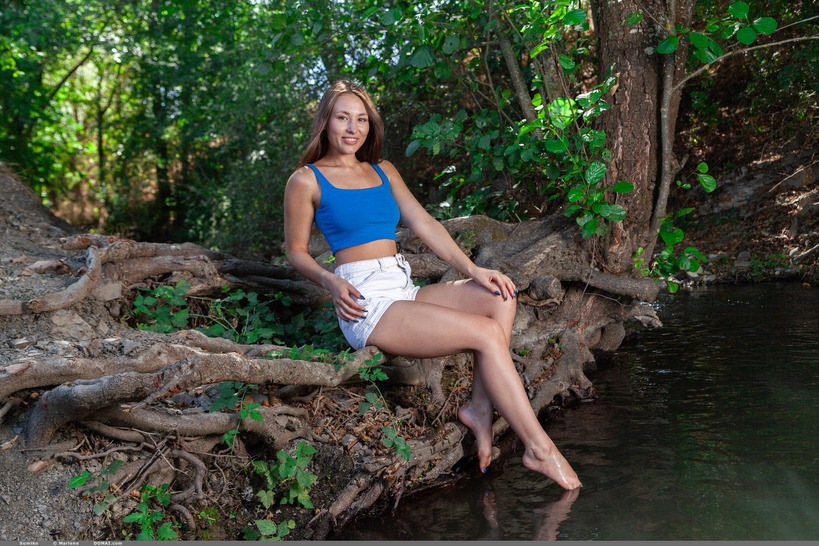 Forest Stream 00