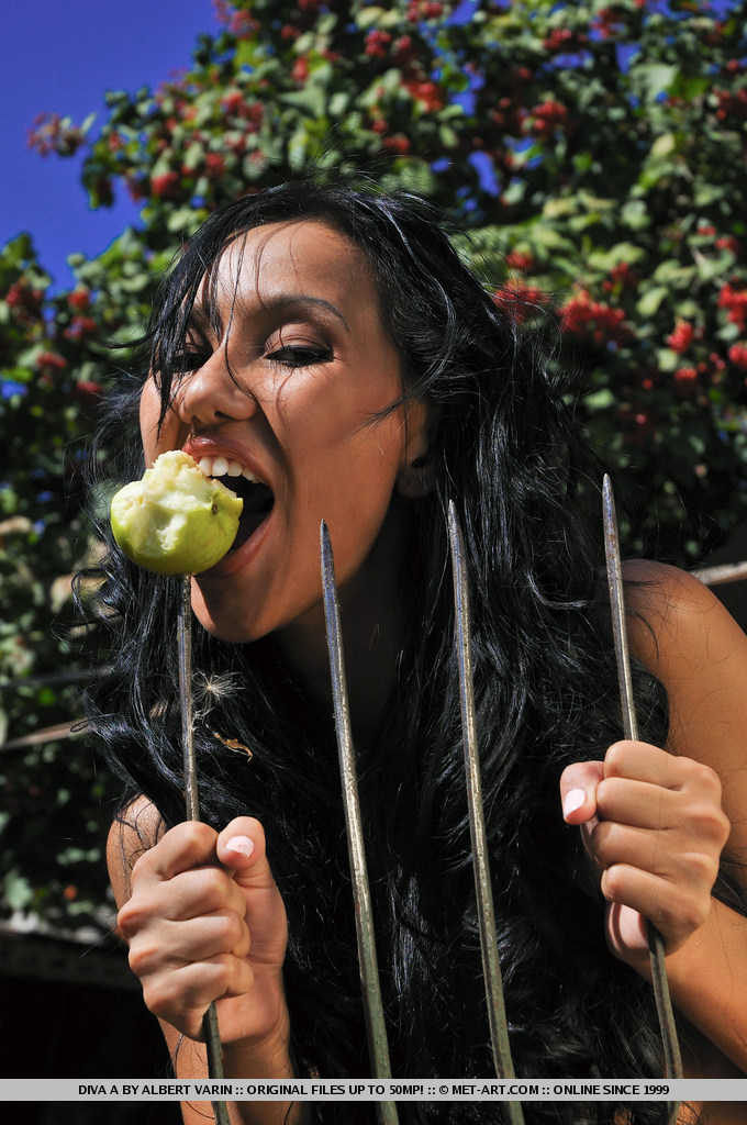 Diva photo 12