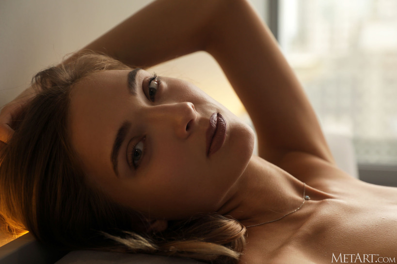 Silver Lingerie with Bright Window Light photo 12