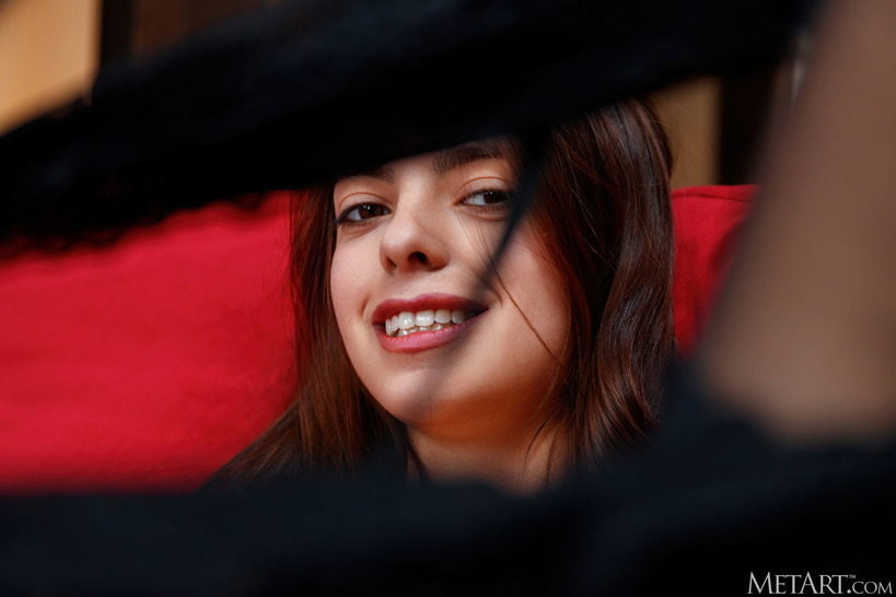 Red Sofa Strip with Fur Jacket, Stockings and an Open Book photo 12