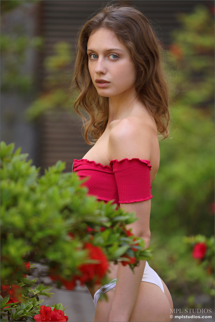 Azalia 00