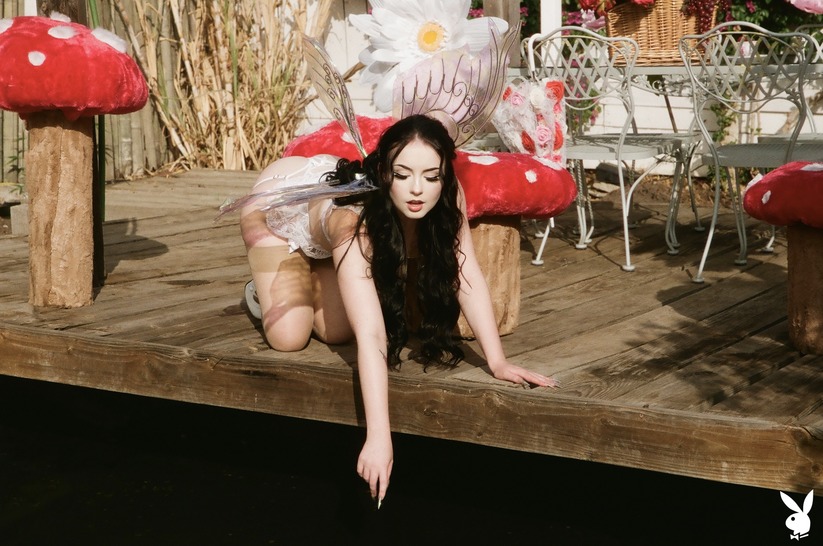 Dreamscape photo 2
