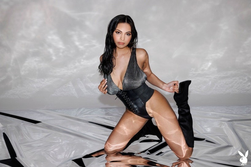 Three Playboy Looks from Lingerie to Metallic Nude photo 21