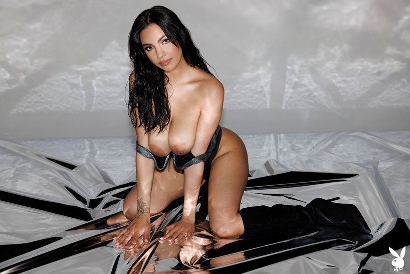 Three Playboy Looks from Lingerie to Metallic Nude photo 22